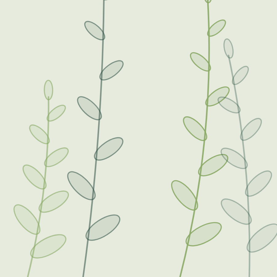 Botanical illustration of green leaves
