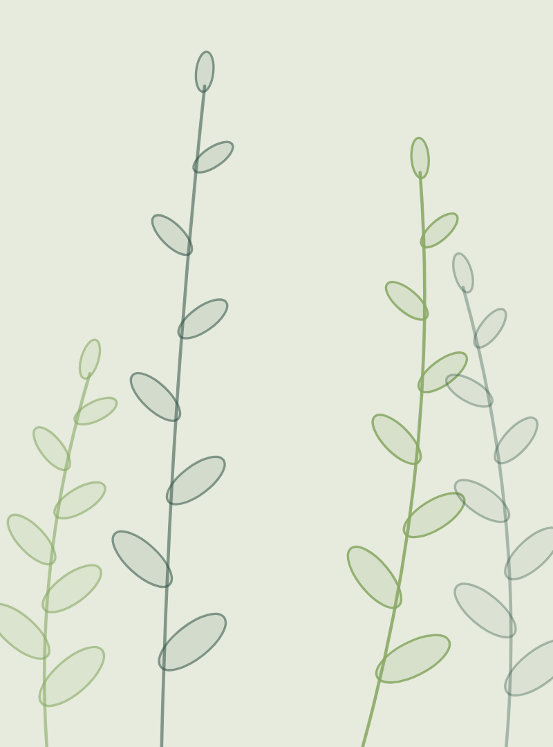 Botanical illustration of green leaves